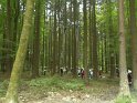 Maibaum_2018 (24)